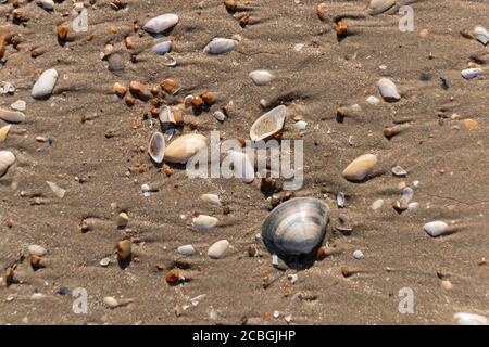 Eine Nahaufnahme von Steinen, die gewaschen wurden Oben am Strand von der tiefsten Stelle der meer Stockfoto