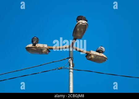 Drei Tauben sitzen auf einer dreifachen Laterne. Blauer Himmel. Stockfoto