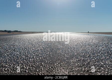 Ein Blick auf die Wellen auf dem Sand nach links Die Ebbe ist mit kleinen Taschen von ausgegangen Wasser bleibt zurück Stockfoto