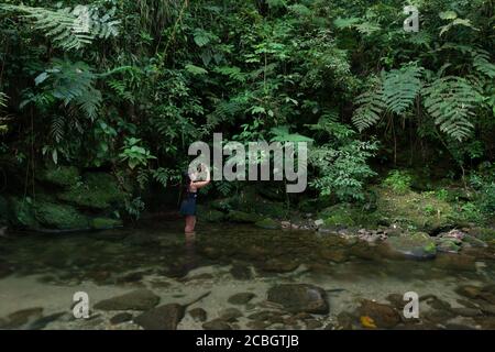 Eine Frau fotografiert einige Pflanzen mit ihrem Handy in einem Fluss im Atlantischen Regenwald von Ubatuba, Süd-Brasilien Stockfoto