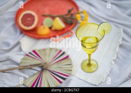 Picknick an einem heißen Sommertag im Park mit einem Glas Wasser, einer frischen Limette, Zitrusfrüchten und einem Ventilator Stockfoto