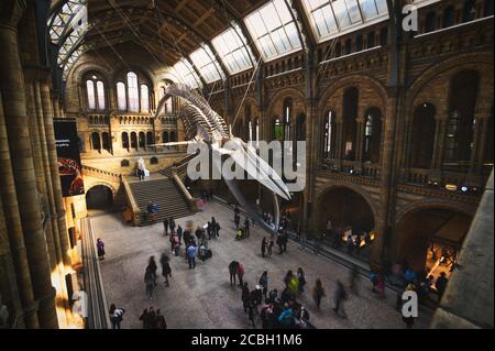 London, Vereinigtes Königreich - 17. April 2019 - die zentrale Halle des Natural History Museum in South Kensington, London, Vereinigtes Königreich. Stockfoto