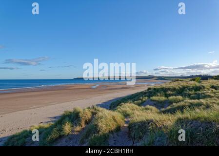 St Cyrus Beach in Aberdeenshire Blick nach Süden an einem schönen Herbsttag, mit dem exponierten Strand von der Ebbe erstreckt sich in die Ferne. Stockfoto