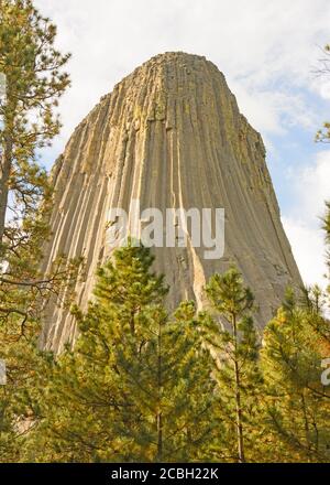 Devils Tower Peeking aus den Pines in Devils Tower National Monument in Wyoming Stockfoto