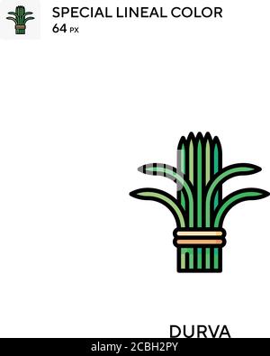 Durva spezielles lineales Farbvektorsymbol. Durva Icons für Ihr Business-Projekt Stock Vektor