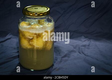 Hausgemachte Bananenfrucht wild natürliche Hefe Wasser mit Blasen, aktiv und gärend in einem Glas Stockfoto