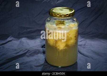 Hausgemachte Bananenfrucht wild natürliche Hefe Wasser mit Blasen, aktiv und gärend in einem Glas Stockfoto