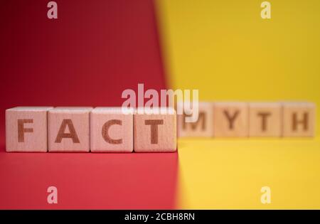 Fakt und Mythos Wörter aus Holzblöcken Stockfoto