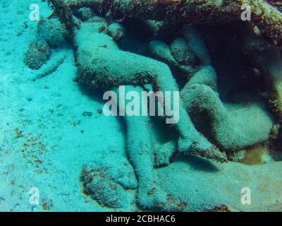 Detail der Unterwasserskulptur 'Human Circle' des Künstlers Jason deCaires Taylor im Museo Atlantico Unterwassermuseum vor Playa Blanca, Spanien. Stockfoto