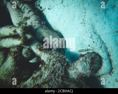 Detail der Unterwasserskulptur 'Human Circle' des Künstlers Jason deCaires Taylor im Museo Atlantico Unterwassermuseum vor Playa Blanca, Spanien. Stockfoto