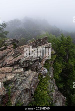 Nebel rollt über Bearfence Mountain an einem Sommerabend im Shenandoah National Park, Virginia, USA Stockfoto