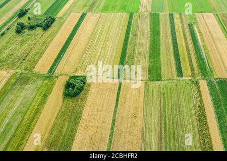 Von oben nach unten Luftaufnahme der bunten Patchwork-Felder in der Landschaft Weißrussland Stockfoto