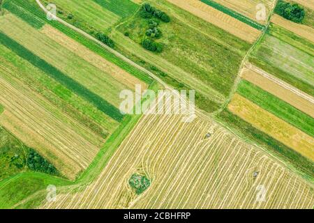 Luftaufnahme von oben von grünen landwirtschaftlichen Feldern in verschiedenen Formen Im ländlichen Raum Weißrussland Stockfoto