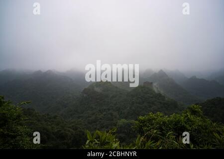 Blick vom Peak im Cat Ba National Park. Ha Long, Vietnam, Halong Bay. Dichter Dschungel. Dickicht in den Bergen Stockfoto