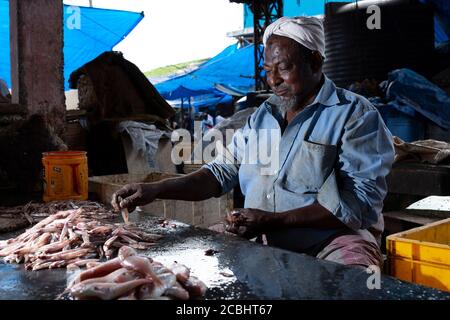 Fischverkäufer auf dem Chalai Markt in Thiruvananthapuram Stockfoto