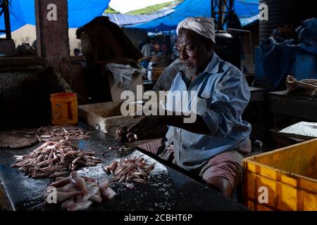 Fischverkäufer auf dem Chalai Markt in Thiruvananthapuram Stockfoto