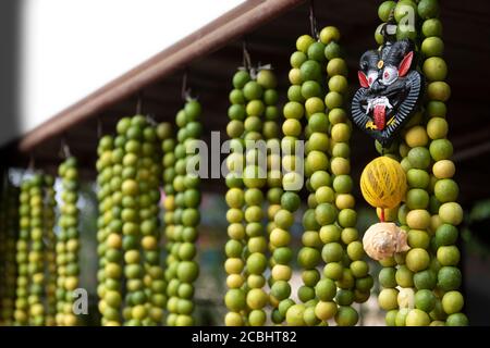 Zitronengirlanden zum Verkauf in einem Kerala Tempel gehalten Stockfoto