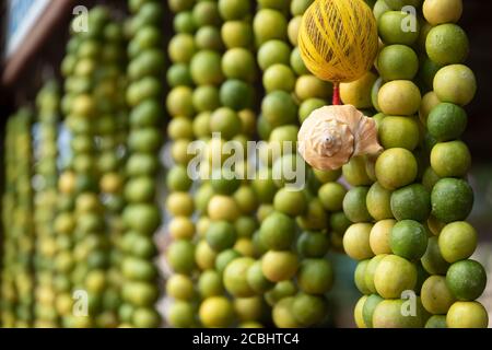 Zitronengirlanden zum Verkauf in einem Kerala Tempel gehalten Stockfoto
