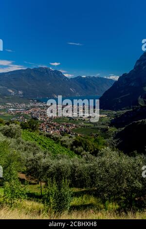 Urlaub und italienisches Sommerfeeling am Gardasee - Italien/Europa Stockfoto