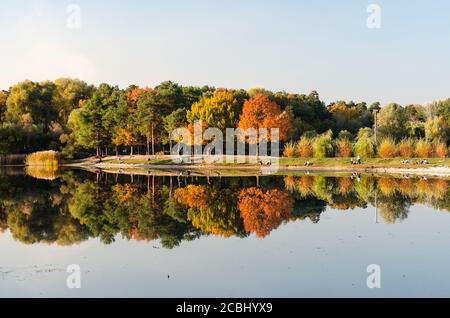 Herbstlandschaft. Bäume spiegeln sich im Wasser. See mit ruhigem Wasser im Vordergrund. Konzept eines idealen Rastplatz Stockfoto