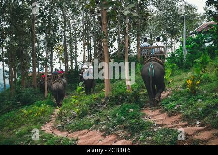 Touristen reiten Elefanten im wilden Wald, auf dem Fluss und im Elephant Park. Menschen, die auf dem Rücken eines Elefanten sitzen Stockfoto