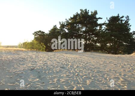 Fußabdrücke Schuhe und Wind auf dem Sandstrand in der Sommerabend in den Strahlen der untergehenden Sonne natürlich Hintergrund Stockfoto