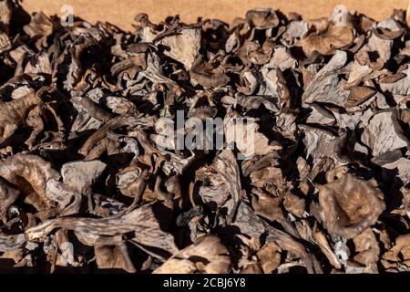 Craterellus cornucopioides, auch bekannt als schwarzer Pfifferling, schwarze Trompete oder Totentrompete zum Verkauf auf einem Marktplatz Stockfoto