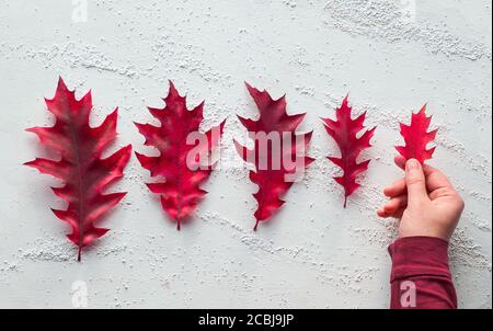 Hand hält Eichenblatt. Größe Progression, flach lag auf weißem texturierten Hintergrund mit Copy-Space. Minimale natürliche Herbstdekorationen. Stockfoto