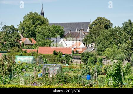 Hattem, Niederlande, 31. Juli 2020: Die Kirche der Stadt überragt Häuser und Gärten Stockfoto