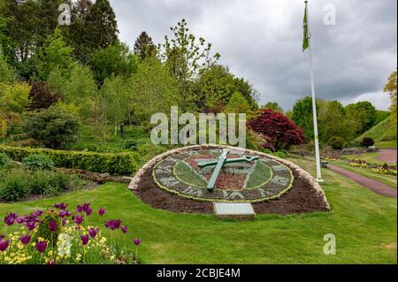 Blumenuhr in Carlisle Park, Morpeth, Northumberland, Großbritannien Stockfoto