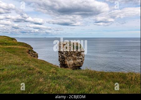 Marsden Rock, Marsden Bay, South Shields, Tyne and Wear, Großbritannien Stockfoto