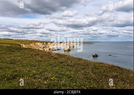 Marsden Rock, Marsden Bay, South Shields, Tyne and Wear, Großbritannien Stockfoto