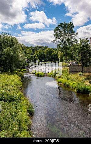 Ein Wehr am Fluss Wansbeck, Morpeth, Northumberland, Großbritannien Stockfoto