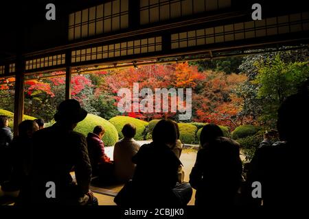 Herbstlaub von einer Freilufthalle im Shisen-do Tempel aus gesehen Stockfoto