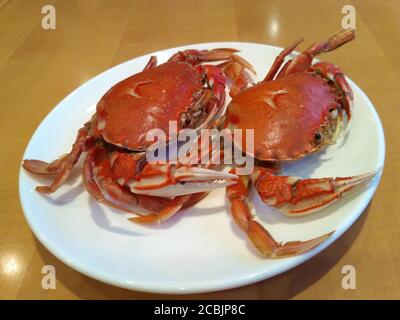 Zwei frisch zubereitete Krabben auf dem weißen Teller im Restaurant Stockfoto