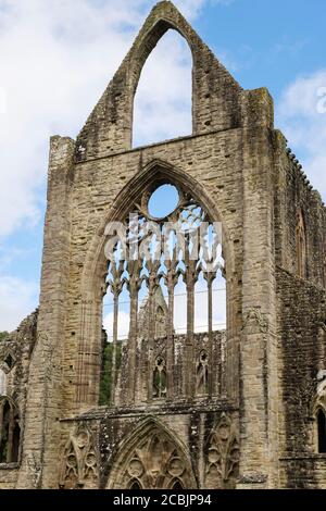 Detail der Tintern Abbey aus dem 12. Jahrhundert in Wye Valley in der Nähe von Chepstow, Monmouthshire, Wales, Großbritannien Stockfoto