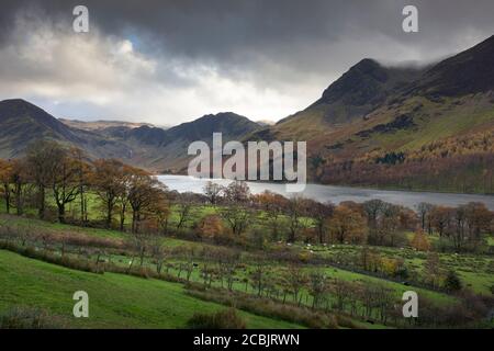 Herbstansicht von Buttermere Lake und Fleetwith Pike, Haystacks und High Crag Fells im Lake District National Park, Cumbria, England. Stockfoto