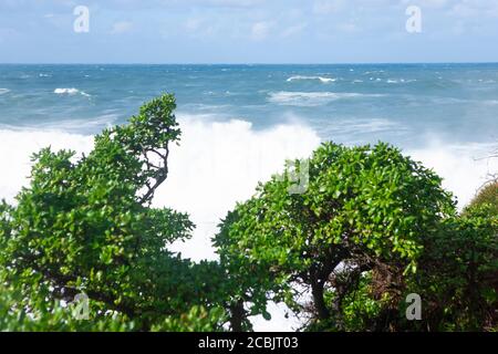 Schaumig stong Wellen krachen in den Ozean Stockfoto
