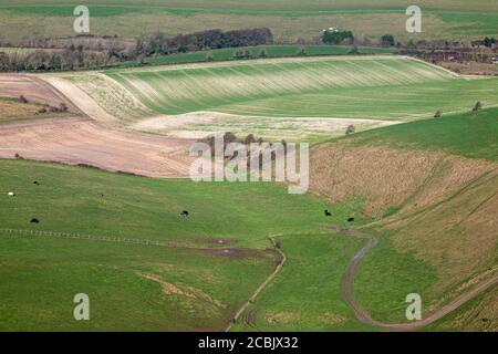Ein Vollformatfoto, das auf eine South Downs herabblickt Landschaft an einem sonnigen Wintertag Stockfoto