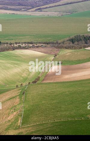 Ein Vollformatfoto, das auf eine South Downs herabblickt Landschaft an einem sonnigen Wintertag Stockfoto