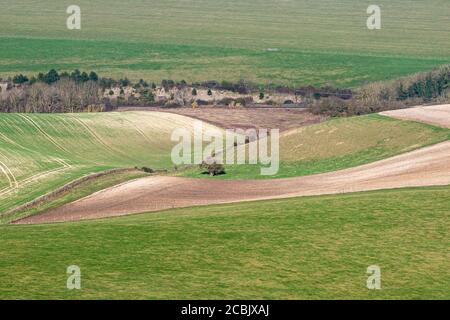 Ein Vollformatfoto, das auf eine South Downs herabblickt Landschaft an einem sonnigen Wintertag Stockfoto