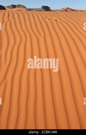 GROSSE SANDDÜNEN IN TIN MERZOUGA TADRART REGION IN ALGERIEN. DÜNEN DER SAHARA IN ALGERIEN. Stockfoto