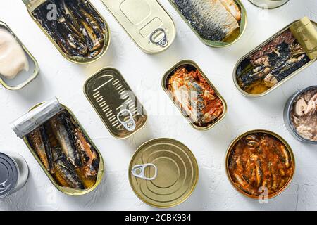 Offene Dosen mit verschiedenen Fisch- und Meeresfrüchtetypen, geöffnete und geschlossene Dosen mit Saury, Makrele, Sprotten, Sardinen, Sardinen, Tintenfisch, Thunfisch, über Weiß Stockfoto