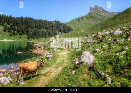 Bannalp, Wolfenschiessen, Nidwalden, Schweiz, Europa Stockfoto