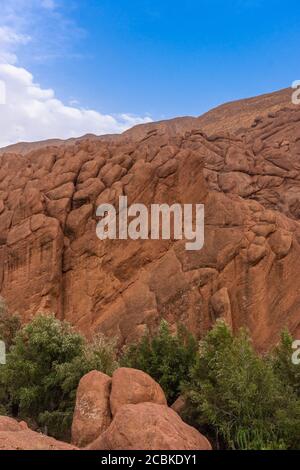 Landschaft der tausend Kasbahs Tal, Marokko Stockfoto