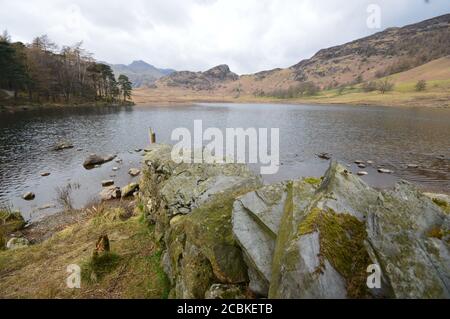 Blea Tarn im Lake District Stockfoto