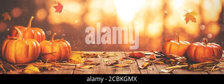 Autumn Banner - Mini Kürbisse Auf Holztisch Mit Orange Fallende Blätter Natur Hintergrund Stockfoto