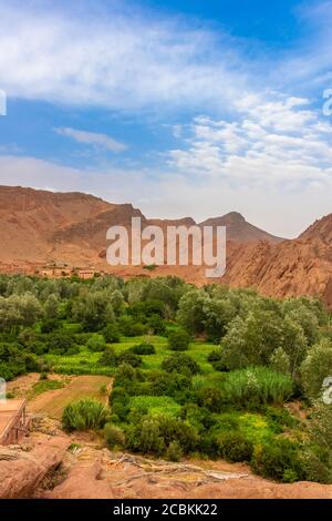 Landschaft der tausend Kasbahs Tal, Marokko Stockfoto