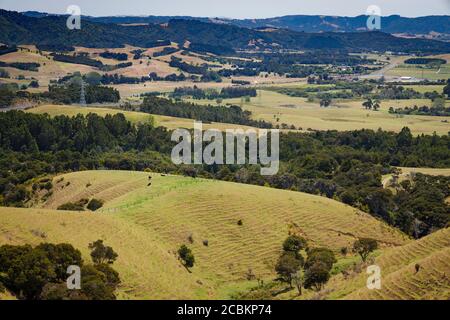 Blick über die ländliche Landschaft bei Brynderwyn außerhalb von Waipu, North Island, Neuseeland. Stockfoto