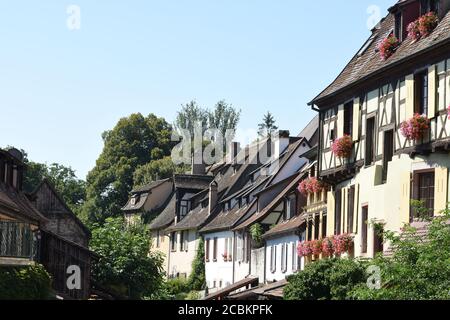 Mit Blumen geschmückte Fachwerkhäuser am Ufer des romantischen Kanals, das kleine Venedig, der Lauf der Lauch in Colmar im Norden- Stockfoto